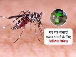 मच्छर भगाने के लिए घर पर बनाएं लिक्विड रिफिल, मलेरिया, डेंगू से मिलेगा छुटकारा