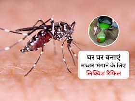 मच्छर भगाने के लिए घर पर बनाएं लिक्विड रिफिल, मलेरिया, डेंगू से मिलेगा छुटकारा