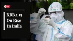 Coronavirus Live Updates: Arcturus Variant of XBB.1.16, Omicron Raise Concern In India