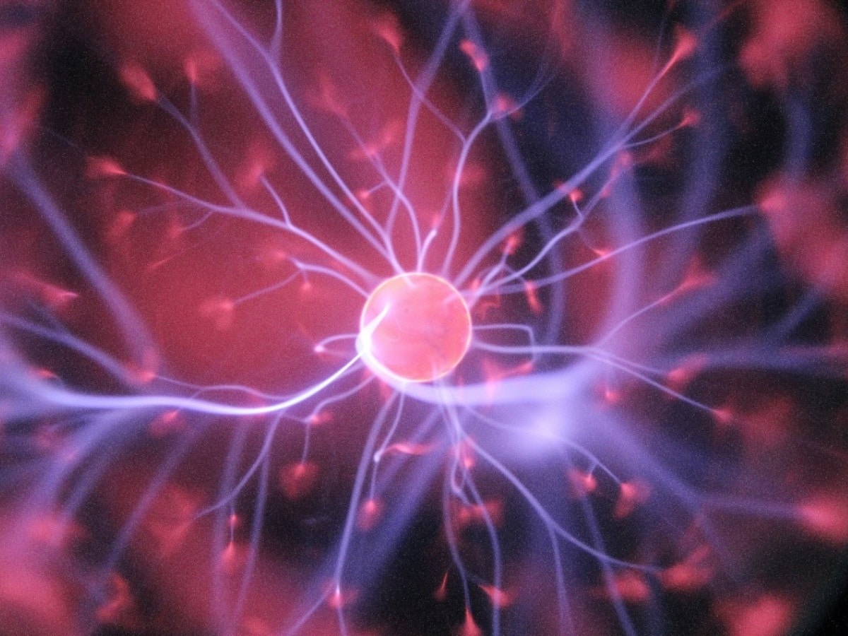 Nootropics and Brain Health: The Ultimate Guide to Prevent Cognitive Decline - Vimarsana News