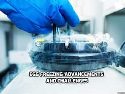 Freeze Your Eggs For Reproductive Freedom: Things To Keep In Mind If You Go For This Option
