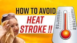 Heatstroke In Navi Mumbai: 11 Die Of Sun-Stroke At An Event, 5 Tips To Avoid Dehydration Due To Heat Wave, Watch Video