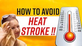 Heatstroke In Navi Mumbai: 11 Die Of Sun-Stroke At An Event, 5 Tips To Avoid Dehydration Due To Heat Wave, Watch Video