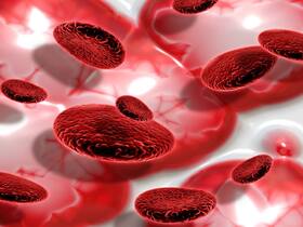 Chronic Myeloid Leukaemia (CML): How Immune-Oncology Therapy Works For Blood-Cell Cancer?