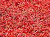 Chilli Peppers: Benefits and Downside