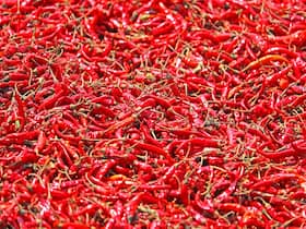 Chilli Peppers: Benefits and Downsides Chilli Peppers: Benefits and Downsides