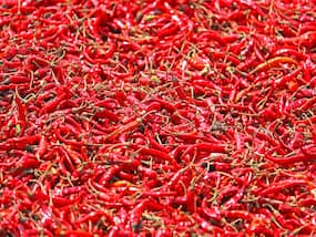 Chilli Peppers: Benefits and Downsides