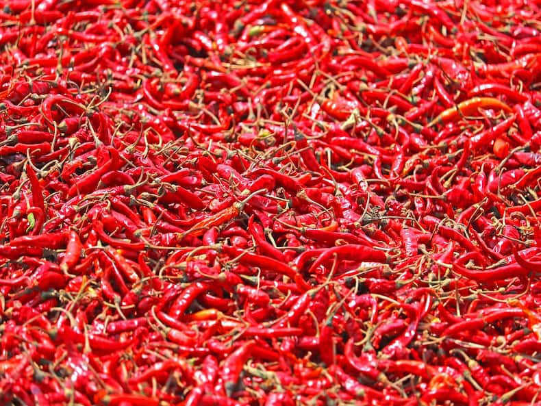 Chilli Peppers: Benefits and Downside