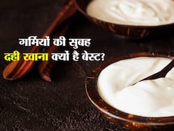 गर्मियों में सुबह-सुबह दही खाने से मिलते हैं 4 जबरदस्त फायदे, इसे खाने का बेस्ट तरीका भी जानें