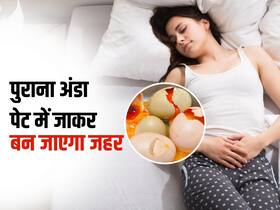 इतने दिन पुराना अंडा पेट में जाते ही बन जाता है जहर, ऐसे पता लगाएं कितना फ्रेश है अंडा