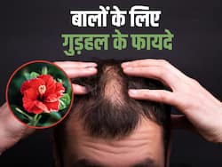 गुड़हल के फूल से बालों का झड़ना जाएंगे भूल, जानिए बालों में गुड़हल के इस्तेमाल का तरीका