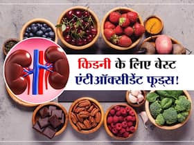 गुर्दों को 'जवां' रखने के लिए खाने होंगे ये Antioxidant Food! जानें किडनी के लिए 10 बेस्ट एंटीऑक्सीडेंट फूड्स गुर्दों को 'जवां' रखने के लिए खाने होंगे ये Antioxidant Food! जानें किडनी के लिए 10 बेस्ट एंटीऑक्सीडेंट फूड्स
