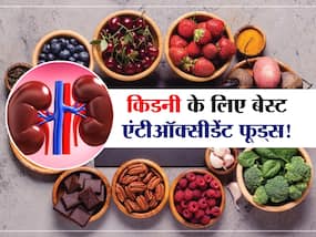 गुर्दों को 'जवां' रखने के लिए खाने होंगे ये Antioxidant Food! जानें किडनी के लिए 10 बेस्ट एंटीऑक्सीडेंट फूड्स