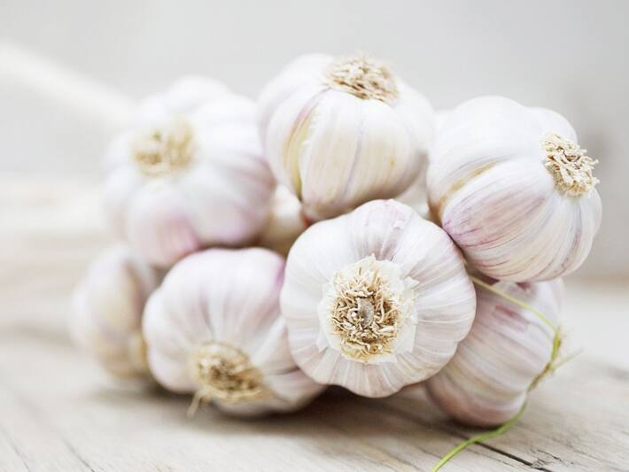 Herbs for Cholesterol In Hindi इन 5 जड़ीबूटियों से कोलेस्ट्रॉल का होगा खात्मा, साफ जाएगी नसों