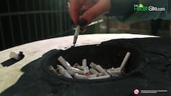 Nicotine Harmful Effects: How To Get Rid Of Nicotine From Your Body, Watch Video