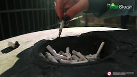 Nicotine Harmful Effects: How To Get Rid Of Nicotine From Your Body, Watch Video