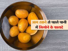 आम को खाने से पहले पानी में 10 मिनट भिगोना क्यों जरूरी? फायदे जानकर हैरान रह जाएंगे आप