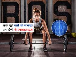 इन 5 एक्सरसाइज से शरीर की थकी हुई नसें भी हो जाएंगी जवान, जानें कौन सी एक्सरसाइज सबसे बेस्ट