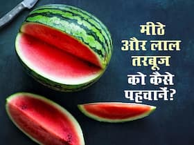 तरबूज खरीदते समय इन 4 तरीकों से करें जांच, अंदर से जरूर निकलेगा लाल और मीठा तरबूज खरीदते समय इन 4 तरीकों से करें जांच, अंदर से जरूर निकलेगा लाल और मीठा