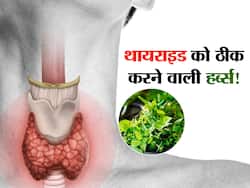 एलोपैथी से ठीक नहीं हुआ थायराइड तो आयुर्वेद से करें जड़ से खत्म! जानें थायराइड ठीक करने के आयुर्वेदिक तरीके