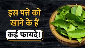 करी पत्ता खाने के फायदे जानकर हो जाएंगे आप हैरान!