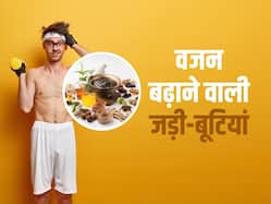 दुबले-पतले शरीर को ताकत से भर देती हैं ये 5 जड़ी-बूटियां, 'वेट गेन सप्लीमेंट' से भी ज्यादा है असरदार