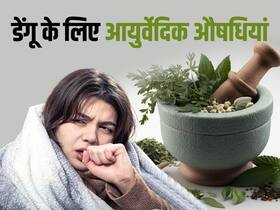 डेंगू बुखार का काल हैं ये 6 आयुर्वेदिक जड़ी-बूटियां, एक दिन में बढ़ जाता है प्लेटलेट्स