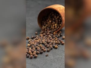 Black Pepper Benefits: काली मिर्च खाने के फायदे