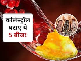 इन 5 बीजों से मोम की तरह पिघल जाएगा नसों में जमा कोलेस्ट्रॉल, शरीर से सारी गंदगी हो जाएगी बाहर