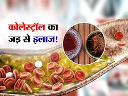 कोलेस्ट्रॉल का जड़  से इलाज करेगा इन 3 जड़ी-बूटियों का पानी, रोजाना इस तरह करें सेवन