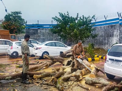 Super Cyclone Mocha Makes Landfall: 10 Health Tips From Experts To Stay Safe