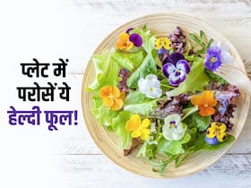 फल ही नहीं इन 5 फूलों को खाकर भी शरीर को मिलती है शक्ति, इन बीमारियों से मिलेगा छुटकारा