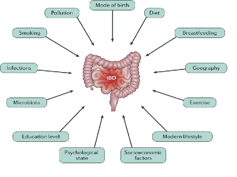 How Do You Deal With Inflammatory Bowel Disease? Explains Dr Sharad Malhotra
