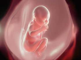 The Future Of The IVF Sector And The Factors Enabling Growth