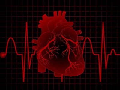 Personal Genomics For Cardiovascular Diseases: Understanding What Your Heart Needs