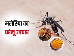 मई-जून में मलेरिया का बढ़ जाता है खतरा, इन 5 घरेलू उपायों से करें इस घातक परेशानी का बचाव