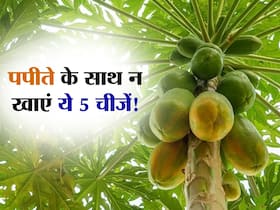 पपीते के साथ भूलकर भी न खाएं ये 5 चीजें, वरना पेट में बन सकता गैस का गोला