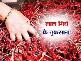 खाने में लाल मिर्च का तड़का सेहत पर पड़ सकता है भारी, शरीर को हो सकते हैं ये 5 नुकसान