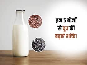 इन 5 बीजों को रोजाना दूध में मिलाकर करें सेवन, हड्डियों और मांसपेशियों को बना देंगी लोहे जैसा मजबूत इन 5 बीजों को रोजाना दूध में मिलाकर करें सेवन, हड्डियों और मांसपेशियों को बना देंगी लोहे जैसा मजबूत