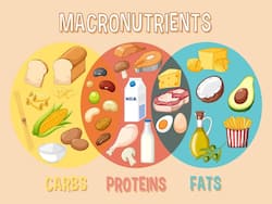 The Importance Of Balancing Macronutrients For A Healthy Diet