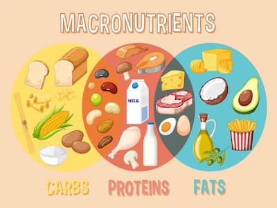 The Importance Of Balancing Macronutrients For A Healthy Diet