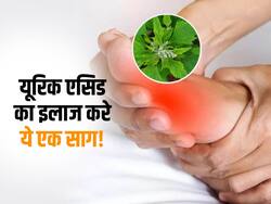 यूरिक एसिड से जमा हुए क्रिस्टल को गला देगा ये साग, जोड़ों में दर्द और सूजन से तुरंत पाएं राहत