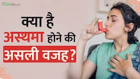 World Asthma Day 2023: Asthma होने की क्या है असली वजह? जानें इसके लक्षण और कैसे करें बचाव World Asthma Day 2023: Asthma होने की क्या है असली वजह? जानें इसके लक्षण और कैसे करें बचाव