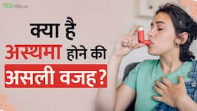 World Asthma Day 2023: Asthma होने की क्या है असली वजह? जानें इसके लक्षण और कैसे करें बचाव World Asthma Day 2023: Asthma होने की क्या है असली वजह? जानें इसके लक्षण और कैसे करें बचाव