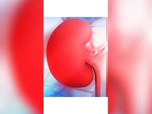 Can You Stop Kidney Disease From Getting Worse?