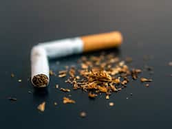 World No Tobacco Day: तंबाकू के सेवन से आपके फेफड़े, हृदय और प्रजनन क्षमता पर क्या प्रभाव पड़ता है?