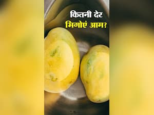आम को कितनी देर भिगोकर खाएं?