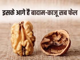 काजू बादाम भी फेल हैं इस अकेले ड्राई फ्रूट के आगे, जानें गर्मियों में खाने का फायदा काजू बादाम भी फेल हैं इस अकेले ड्राई फ्रूट के आगे, जानें गर्मियों में खाने का फायदा