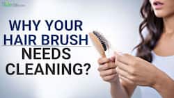 Hair Care: What Is The Importance of Cleaning Your Hair Brush Every Day And Methods, Watch Video