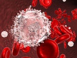 What Are The Major Risk Factors For Blood Cancer?